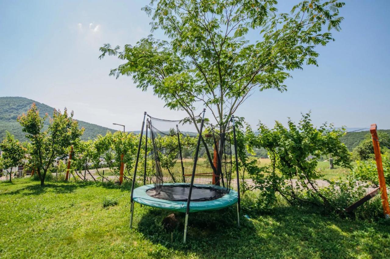 SzendehelyPanorama Vegapansion公寓 外观 照片