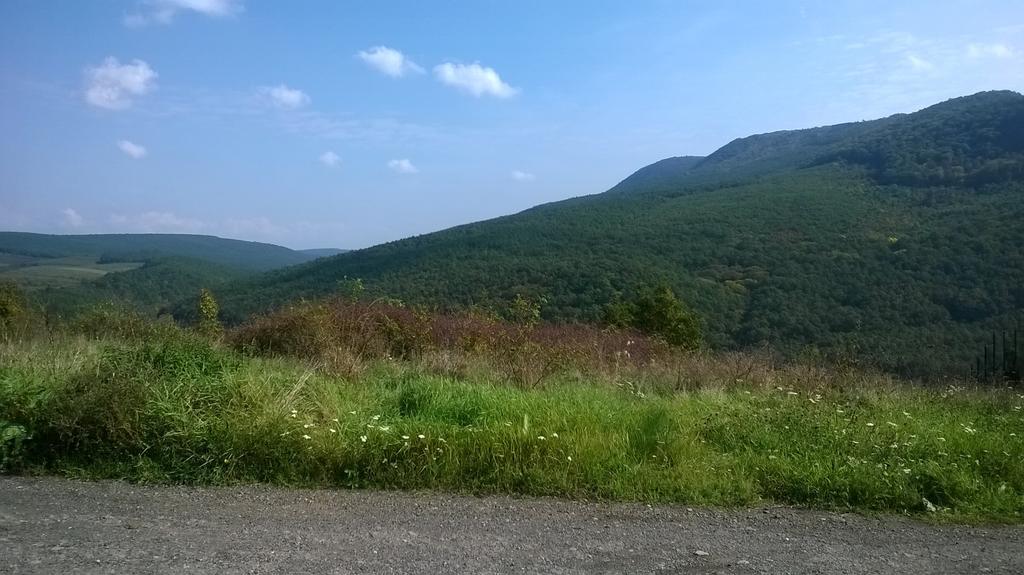 SzendehelyPanorama Vegapansion公寓 外观 照片