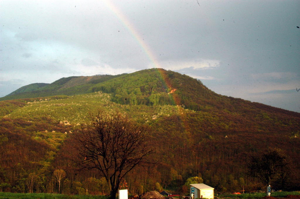SzendehelyPanorama Vegapansion公寓 外观 照片