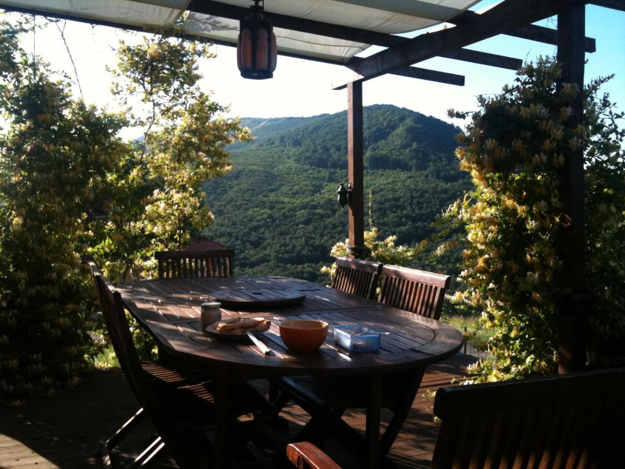 SzendehelyPanorama Vegapansion公寓 外观 照片